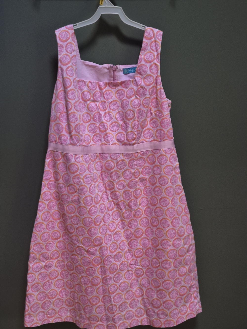 fresh produce Pink Citrus-Print Sleeveless A-Line Dress. Size 10. Zip Back